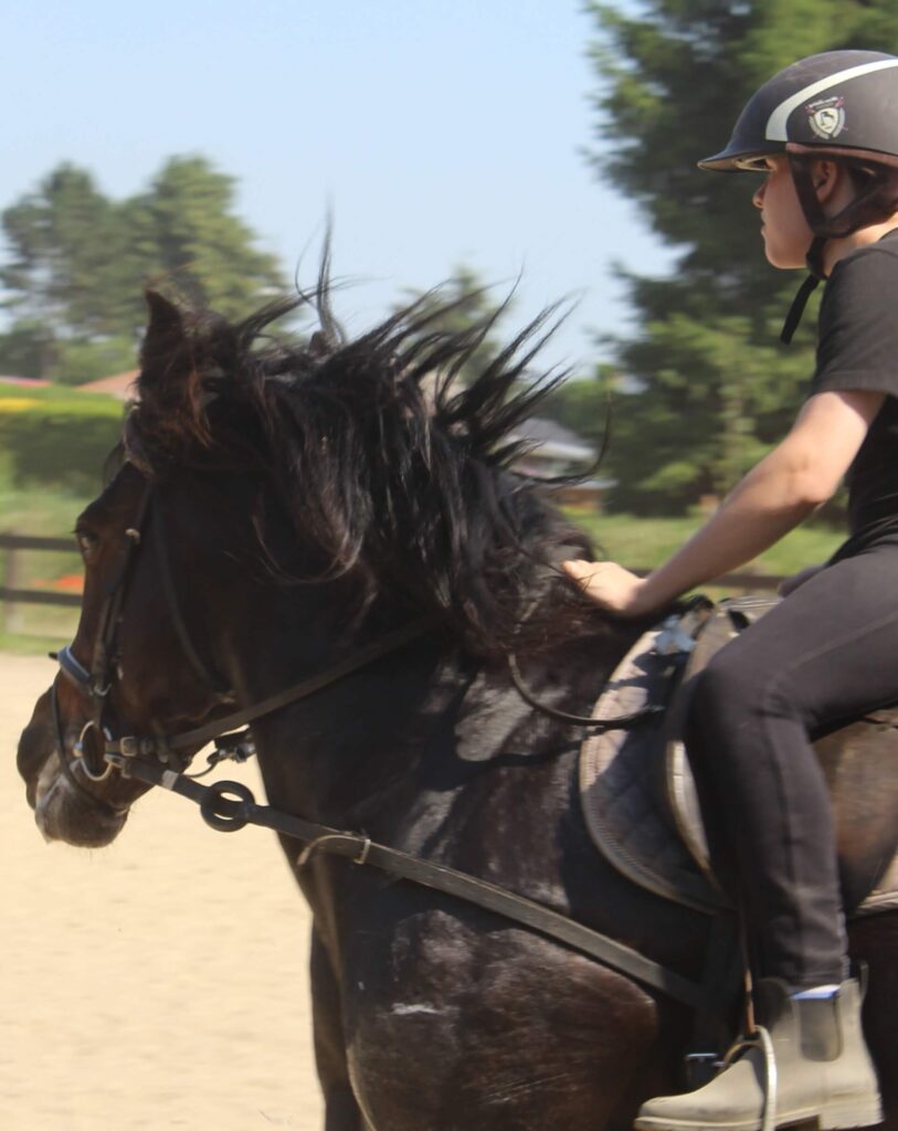 Betreuerin Ferienlager reitet schnell im Reitcamp Altenhausen. Wildfang e.V. – Einsatz für Kinder und Jugendliche in Ferienfreizeiten