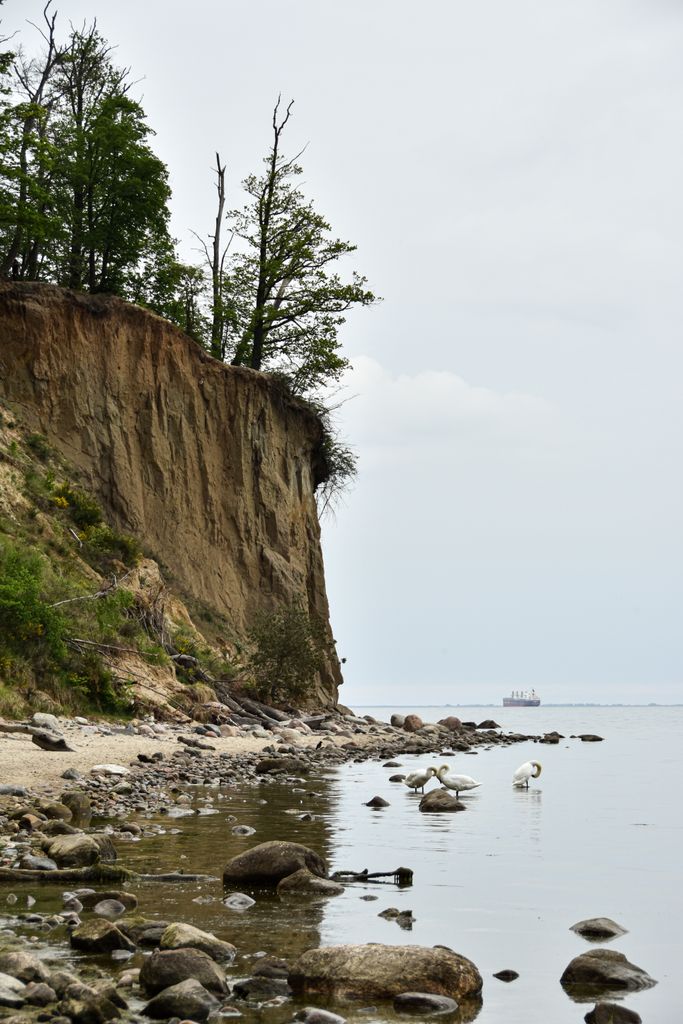 Idyllic cliffside view with calm ocean, rocks, and birds for nature lovers.